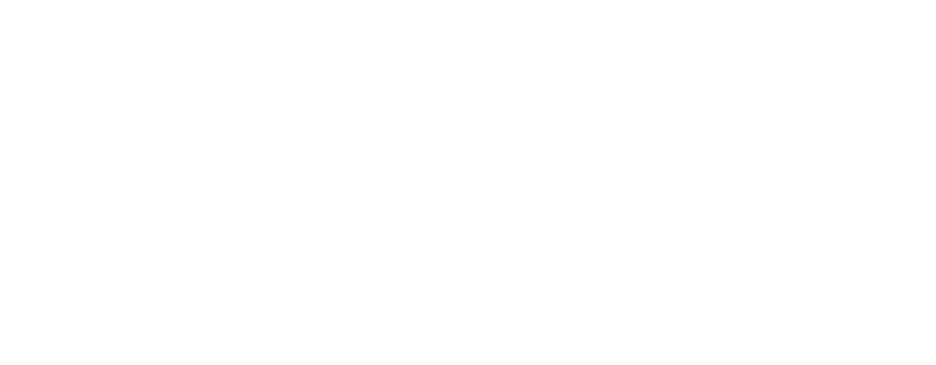 storage commander logo white match